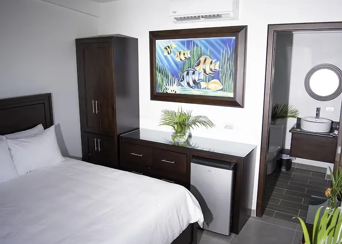 Carver Suites At 506 Tennis Center Hotel *